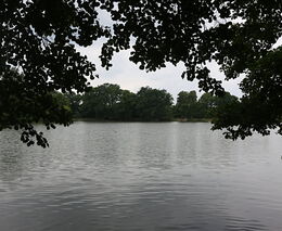 Týden podle PH č. 12 - 2017 (pH týdne: 5)