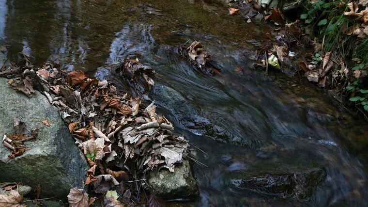 V Česku už déle než měsíc není půdní sucho, sledují vědci nezvyklou situaci 
