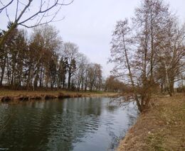 Miroslava Floriánová: Řeky vysychají. Má smysl stavět jezy na Labi?