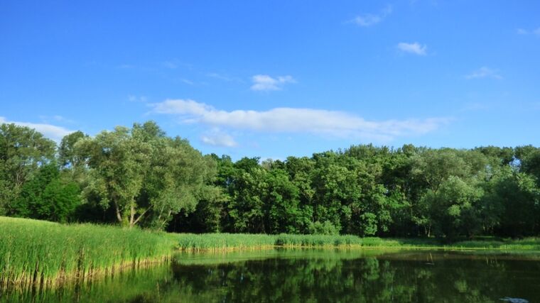 Vědci navrhnou jihočeským rybníkům budoucnost