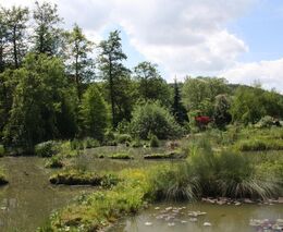 Až poznáme, co krajina uměla před odvodněním, začneme vodě její prostor navracet