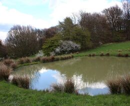 Seminář: Jak zadržet vodu v krajině