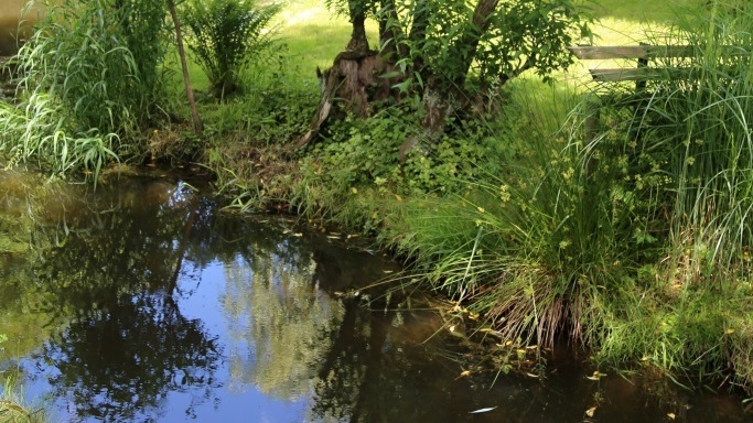 Mezi Vraňany a Hořínem skončila obnova Vltavy, má prospět rozmanitosti přírody