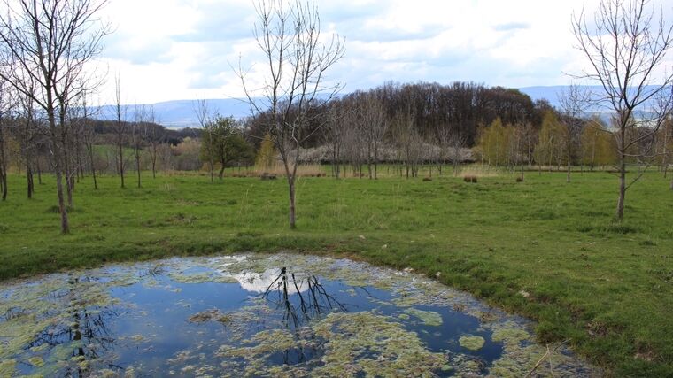 Adaptačních projektů proti změnám klimatu je stále víc. Chybí jim ale větší podpora státu