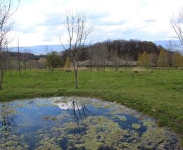 Industriální hospodaření na obrovských polích se musí změnit