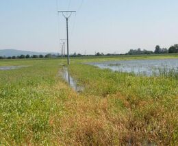 „Vlastníci půdy by měli vědět, co se na ní děje“