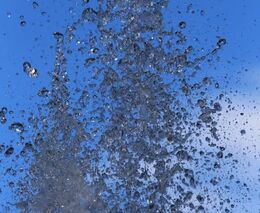 Letošní sucho napáchalo škody za desítky miliard korun - 12 miliard počítají zemědělci