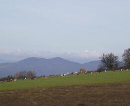 Inspirujte se případovými studiemi projektu AGFOSY