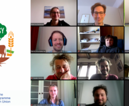 Virtuální jednání projektu