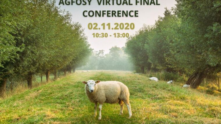 Závěrečná mezinárodní konference projektu AGFOSY