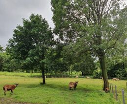 AGFOSY - České agrolesnictví