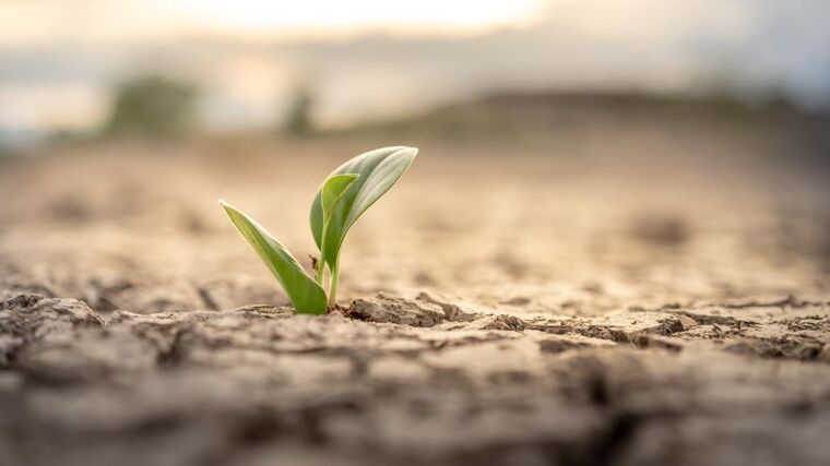 První výstup projektu AGRIWATER