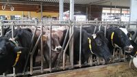 Spolupráce farmářů napříč Evropou