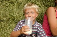 Čtyřicet farem a jedna společná sýrárna