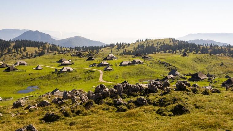 Společná pastva na Veliké Planině