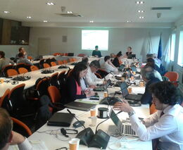 Evropské střípky - Kroky ke zjednodušení Společné zemědělské politiky?