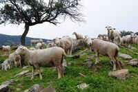 Generační obměna na rodinných farmách - projekt FARM SUCCESS