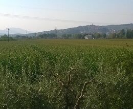 Pozvánka na přednášku Bastiana Drehera na téma „Úvod do Syntropického zemědělství“