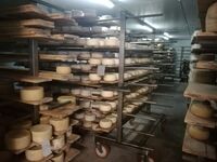 Jak uvádět regionální produkty na trh? Inspirací může být Toskánsko