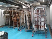 Jak uvádět regionální produkty na trh? Inspirací může být Toskánsko