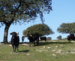 REWARD - podpora podnikání žen na venkově
