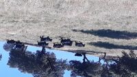 REWARD - podpora podnikání žen na venkově