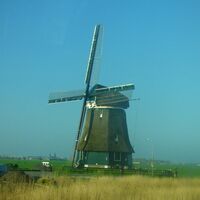 Spolupráce nizozemských farmářů může inspirovat i za hranicemi