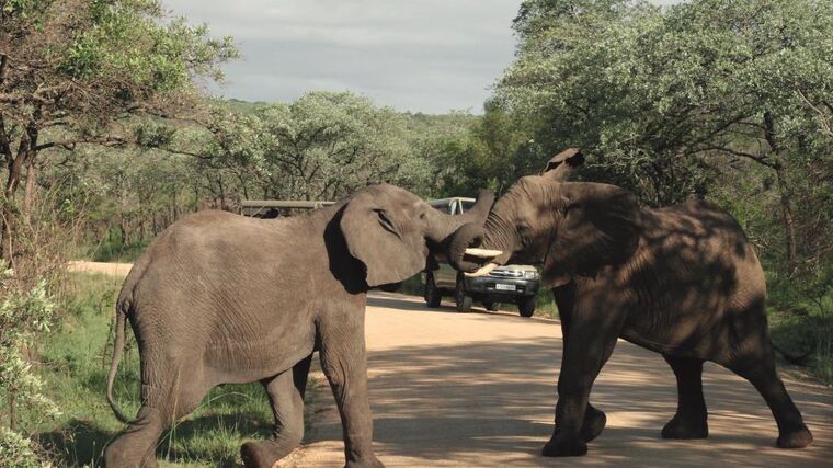 Agrární diplomaté a export: Ano, ale musí se vyplatit