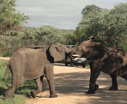 Agrární diplomaté a export: Ano, ale musí se vyplatit