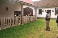 Ptát se na velikost stáda je neslušné Ptát se na velikost stáda je neslušné