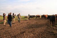 Ptát se na velikost stáda je neslušné Ptát se na velikost stáda je neslušné