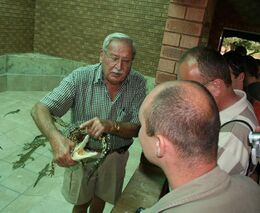 Fotografie ze zájezdu členů ASZ po farmách v Jihoafrické republice