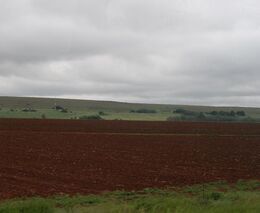 Odborníci z MENDELU pokračují v úspěšném projektu ČRA podporujícím drobné zemědělce v Etiopii