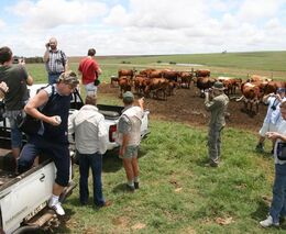 Národní parky a farmy v Jihoafrické republice