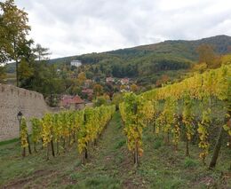 Pestrá přehlídka farem alsaských sedláků