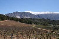 Za agroturistikou do Andalusie podruhé Za agroturistikou do Andalusie podruhé