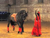 Za agroturistikou do Andalusie podruhé Za agroturistikou do Andalusie podruhé