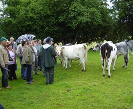 Naprosto jiný přístup