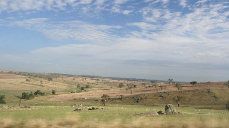 Hrozí nedostatek banánů? Zákeřná nemoc postihla farmy, Australané se bojí o úrodu