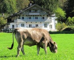 Bavorsko – místo věčné inspirace