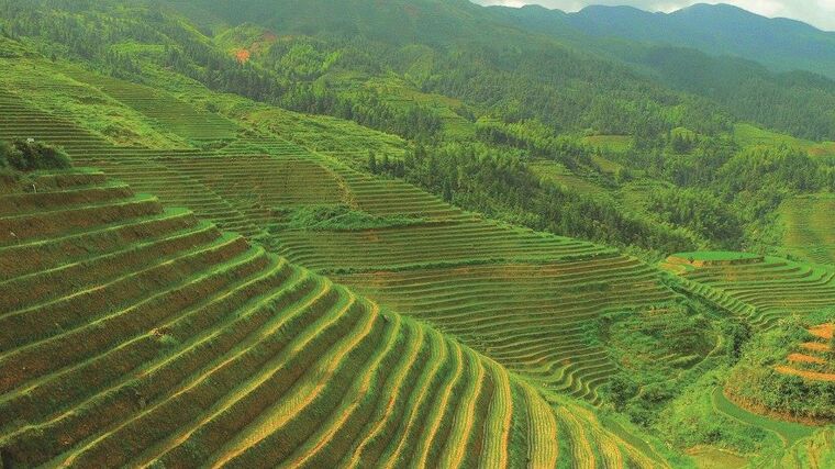 Jarní zájezd na dálný východ