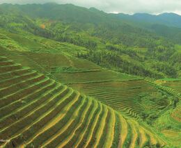 Jarní zájezd na dálný východ