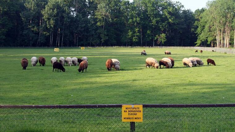 Členové ASZ Litoměřice a Louny na návštěvách farem (2. část)