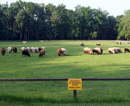 Členové ASZ Litoměřice a Louny na návštěvách farem (2. část)