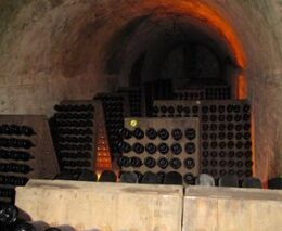 Francouzští producenti šampaňského se dohodli na nižší sklizni hroznů, aby zvýšili jeho cenu