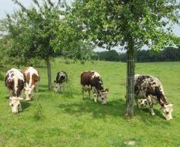 Za zemědělstvím oblastí, kterou kráčely dějiny