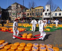 Nizozemští zemědělci protestují proti plánu na snížení emisí, blokují dálnice. Policie střílela