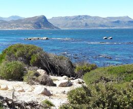 Attenborough není Greta. Jeho modlitbu za naši planetu nelze neslyšet