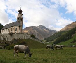 Jižní Tyrolsko - tradiční zemědělství žije!