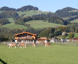 „Příroda se na koronu neptá,“ říkají farmáři z jihu Tyrolska